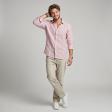 Stripes Pink Shirt : Ditto