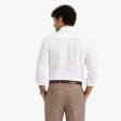 Plain White Shirt : Business