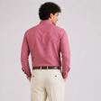 Plain Mauve Shirt : Business