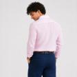 Plain Pink Shirt : Business