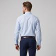 Plain Blue Shirt : Business