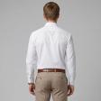 Plain White Shirt : Business