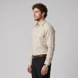 Stripes Brown Shirt : Business