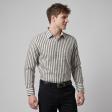 Stripes Gray Shirt : Business