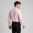 Plain Pink Shirt : Business