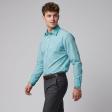 Stripes Green Shirt : Business