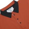 Plain Rust T-shirt : Regular