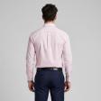 Plain Pink Shirt : Slim