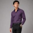 Plain Purple Shirt : Business