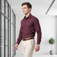 Stripes Maroon Shirt : Business