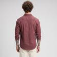 Self Design Maroon Shirt : Ditto