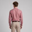 Plain Rust Shirt : Business