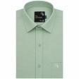 Plain Green Shirt : Business