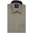 Checks Green Shirt : Business