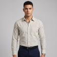 Stripes Gray Shirt : Business