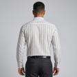 Stripes Green Shirt : Business