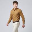 Stripes Khakhi Shirt : Business