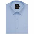 Plain Light Blue Shirt : Business