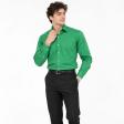 Plain Light Green Shirt : Business