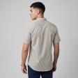 Stripes Fawn Shirt : Ditto