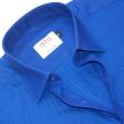 Plain Blue Shirt : Ditto