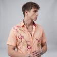 Handpainted Peach Shirt : Ditto