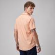 Handpainted Peach Shirt : Ditto