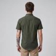 Handpainted Green Shirt : Ditto