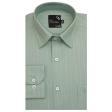 Stripes Light Green Shirt : Business