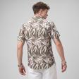 Print Green Shirt : Ditto
