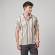 Stripes Brown T-shirt : Regular