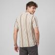 Stripes Brown T-shirt : Regular
