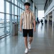 Stripes Fawn T-shirt : Regular