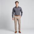 Checks Light Gray Shirt : Business