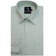 Stripes Light Green Shirt : Business