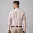 Stripes Mauve Shirt : Business
