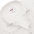 Print White Shirt : Ditto