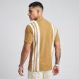 Stripes Khakhi T-shirt : Regular