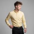 Plain Lemon Shirt : Slim