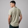 Self Design Fawn Shirt : Ditto