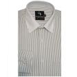 Stripes Light Green Shirt : Business