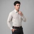 Stripes Gray Shirt : Business