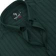 Stripes Green Shirt : Business