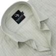 Stripes Light Green Shirt : Business