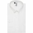 Plain White Shirt : Slim
