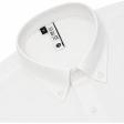 Plain White Shirt : Slim