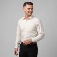 Stripes Fawn Shirt : Business