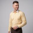 Plain Lemon Shirt : Business
