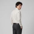 Stripes Fawn Shirt : Business