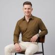 Plain Brown Shirt : Business